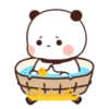 🐼BuBu and DuDu🐻(127) 16