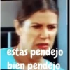 Estas bien pendejo 9