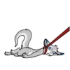 - Animated 5