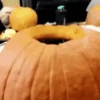 🎃 Halloween Pets 🎃 12