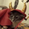 🎃 Halloween Pets 🎃 13