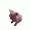 Michis Random 😺 11
