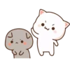 🐈 CAT LOVE ❤️ 15