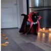 Halloween Tiktok☠️🕸️🎃 10