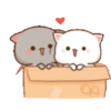 😻 Los Gatitos #09 21