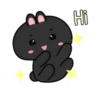 Black Bunny 17