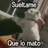 Randoms pa' Enviar 📽️ #1 11