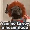 🎃 Halloween Pets 🎃 15