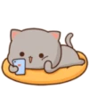 😻 Los Gatitos #12 25