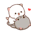 😻 Los Gatitos #13 22
