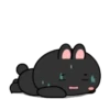 Black Bunny 18