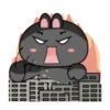 Black Bunny 19