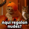 🎃 Halloween Pets 🎃 17
