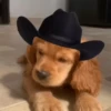 Mami, soy tu vaquero 🤠🎶 20