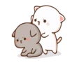 🐈 CAT LOVE ❤️ 20