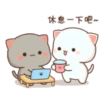 😻 Los Gatitos #13 25