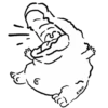 Croc 13