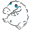 Croc 14