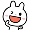 cute rabbit mov 16