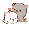 🐈 CAT LOVE ❤️ 22