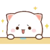 Peach & Goma Cat #2 26