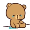 Milk & Mocha Bear 20