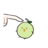 Manzana Kiut🍏💖2 18