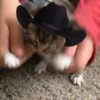 Mami, soy tu vaquero 🤠🎶 26