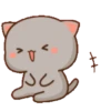 Peach & Goma Cat #3 25