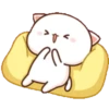 Peach & Goma Cat #3 26
