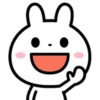 cute rabbit mov 20