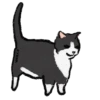 Chipi Chipi Chapa Chapa 2