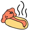 Perro Bachicha 3