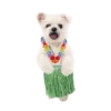 MISO pup 🐶💛🧡. mov 7