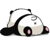 PANDA 6