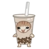 Michi Food 5