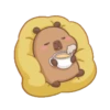 Capybara 1 4