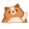 Hamster Bernard 5