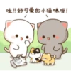 gatitos 6