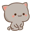 😻 Los Gatitos #04 6