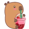 Capybara 1 5