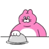 Fav Cat Pingo y sus amigos 🤗 5