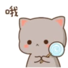 😻 Los Gatitos #08 10