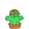 Cactus 3