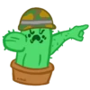 Cactus 4