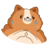 Hamster Bernard 6