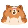 Hamster Bernard 7