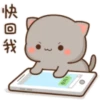 😻 Los Gatitos #01 8