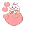 Rabbit mayla 7