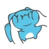 HappyCapoo 11